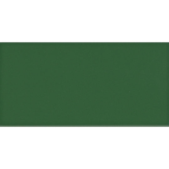 Emser 3" x 6" Catch Glossy Pressed Ceramic Tile