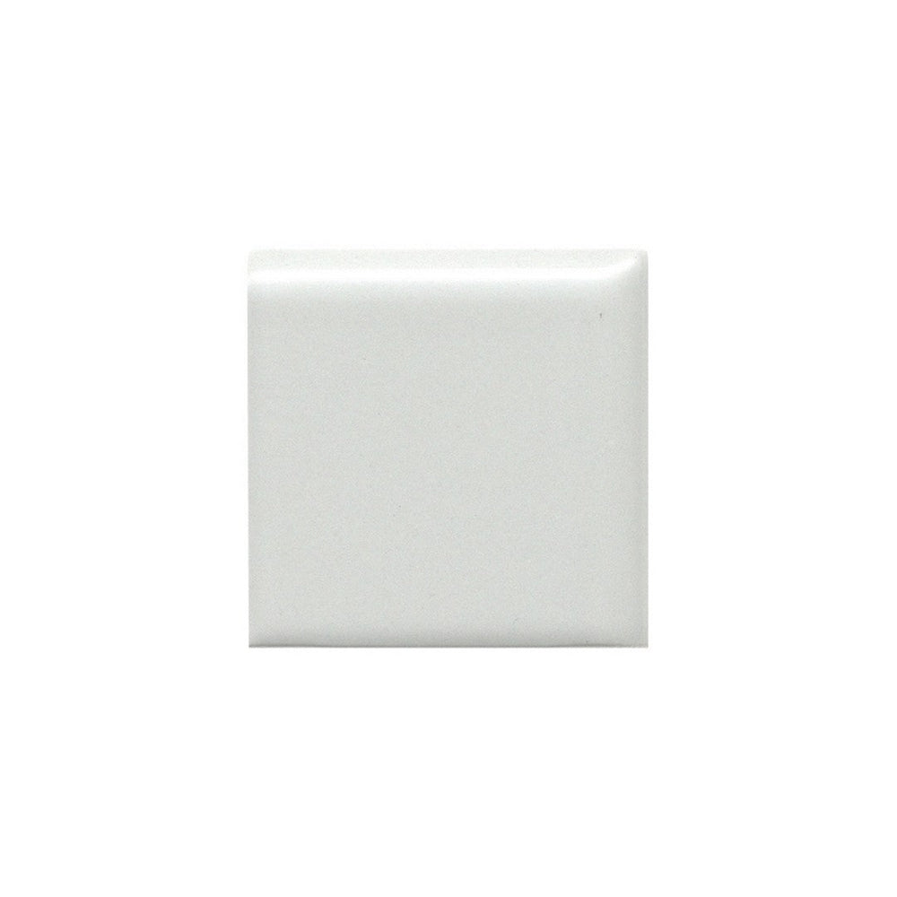 Emser Tile 2" x 2" Catch Pressed Matte Ceramic Bullnose Corner