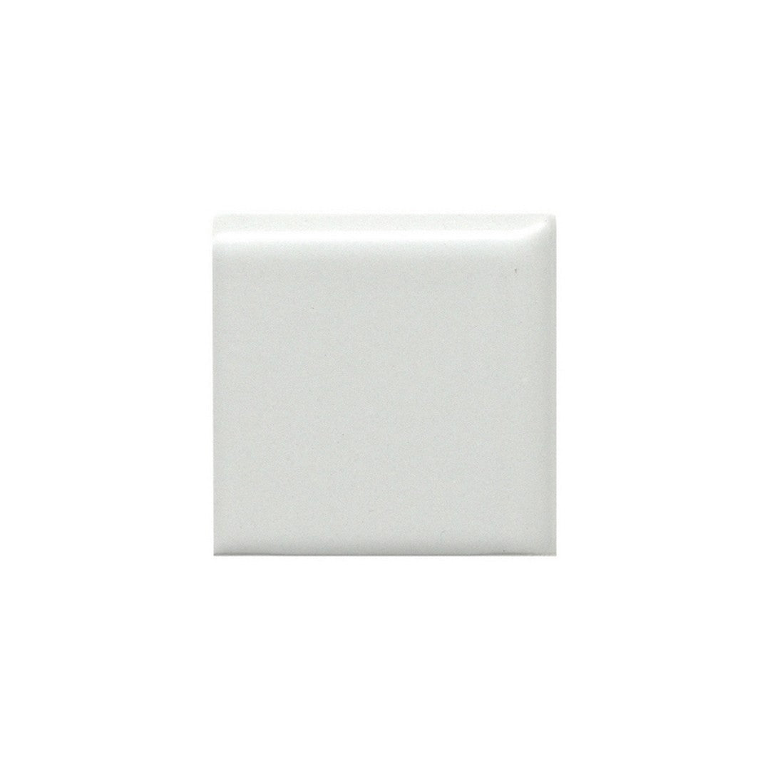Emser Tile 2" x 2" Catch Pressed Matte Ceramic Bullnose Corner