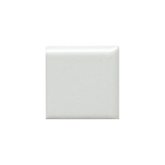 Emser Tile 2" x 2" Catch Pressed Matte Ceramic Bullnose Corner