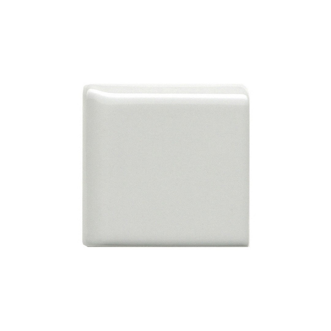 Emser Tile 2" x 2" Catch Pressed Glossy Ceramic Bullnose Corner