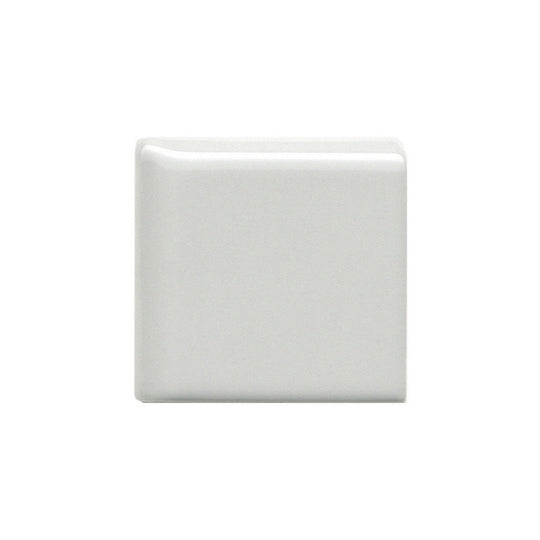 Emser Tile 2" x 2" Catch Pressed Glossy Ceramic Bullnose Corner