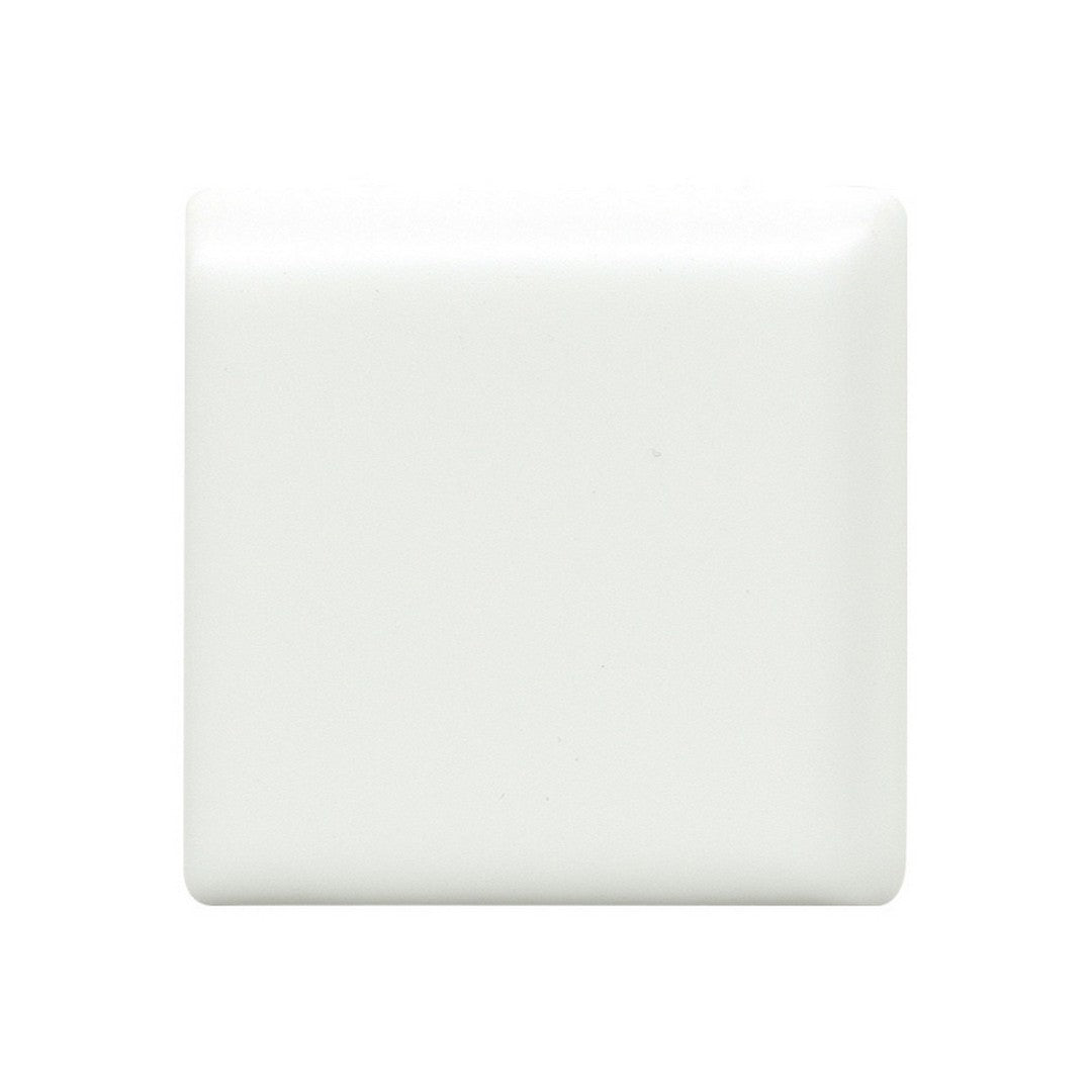 Emser Tile 2" x 2" Catch Pressed Matte Ceramic Bullnose Corner