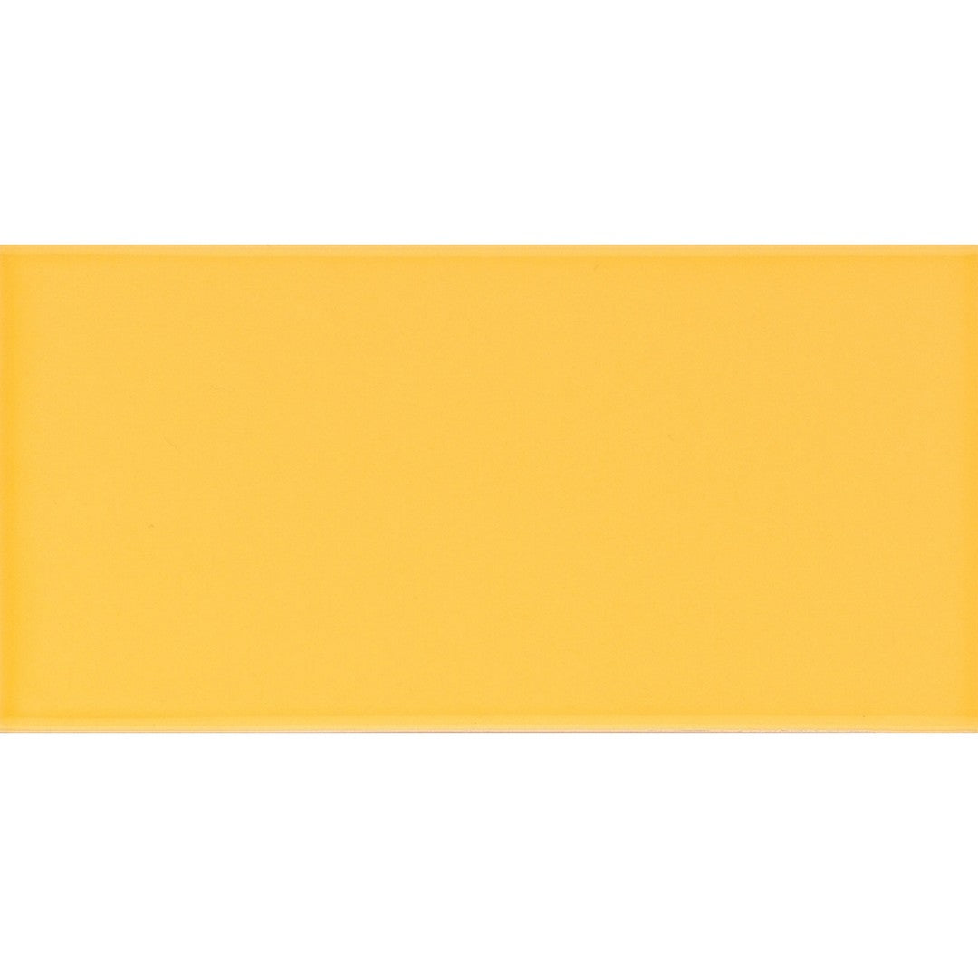 Emser 3" x 6" Catch Glossy Pressed Ceramic Tile