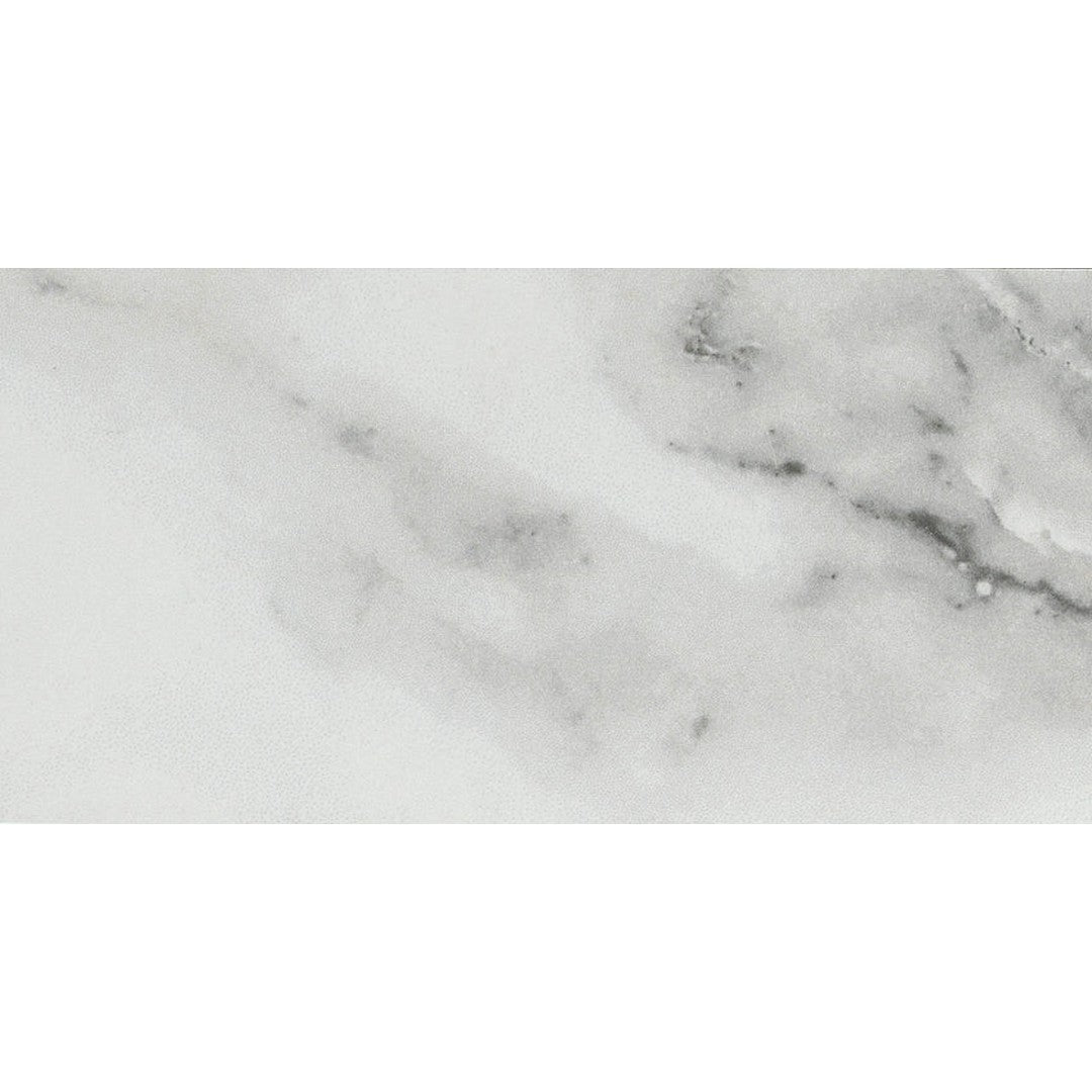 Emser Contessa 3" x 6" Porcelain Matte Tile