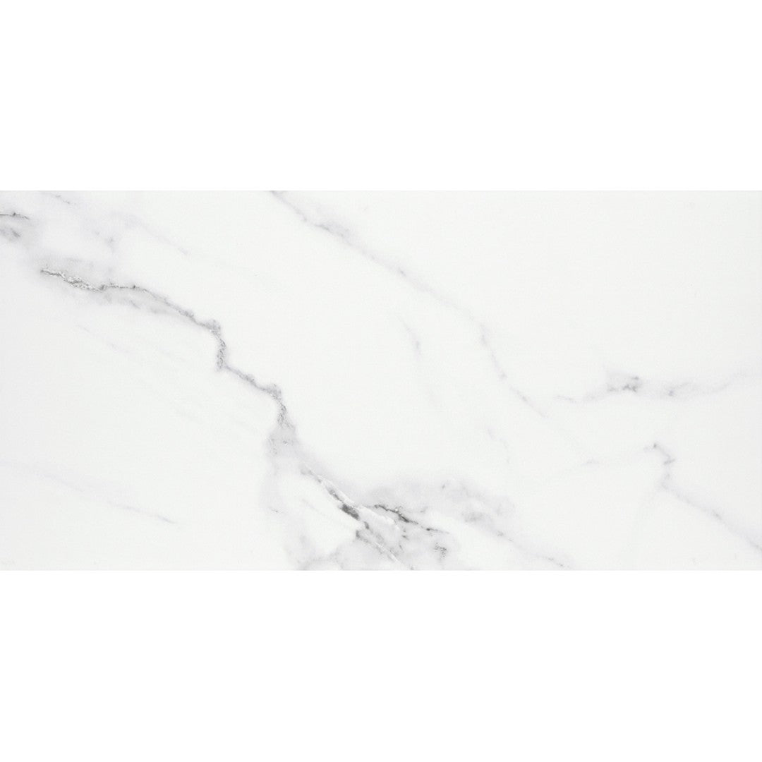 Emser Tile 24" x 47" Contessa Rectified Matte Porcelain Tile