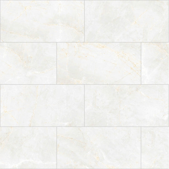 Emser 12" x 24" Savino Rectified Polished Porcelain Tile
