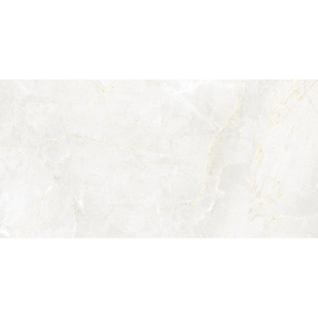 Emser 24" x 47" Savino Rectified Matte Porcelain Tile