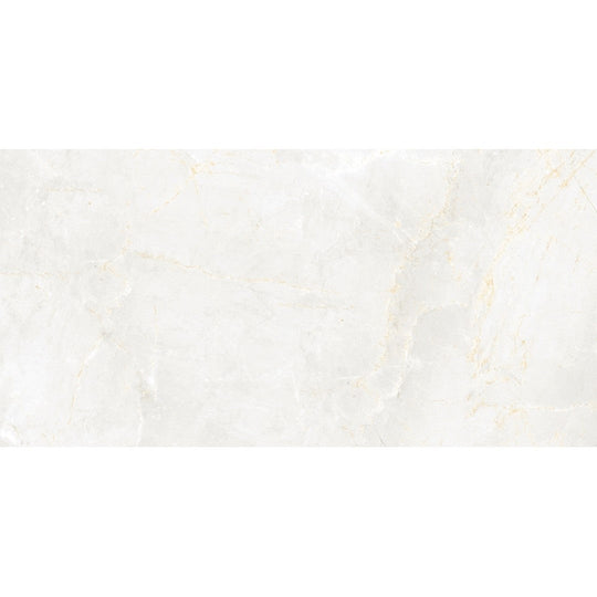 Emser 24" x 47" Savino Rectified Matte Porcelain Tile