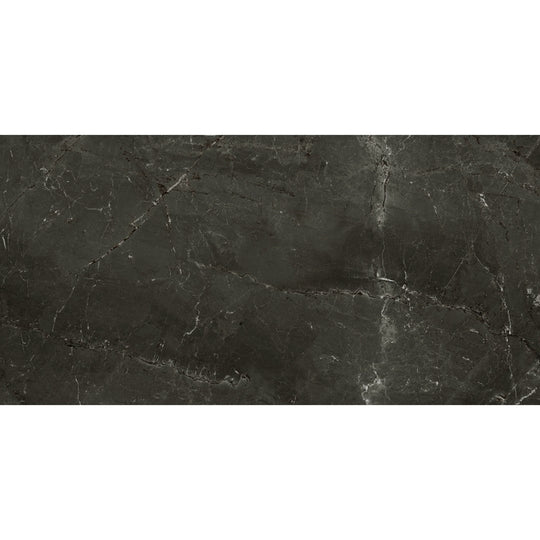 Emser-12-x-24-Savino-Rectified-Polished-Porcelain-Tile-Nuit