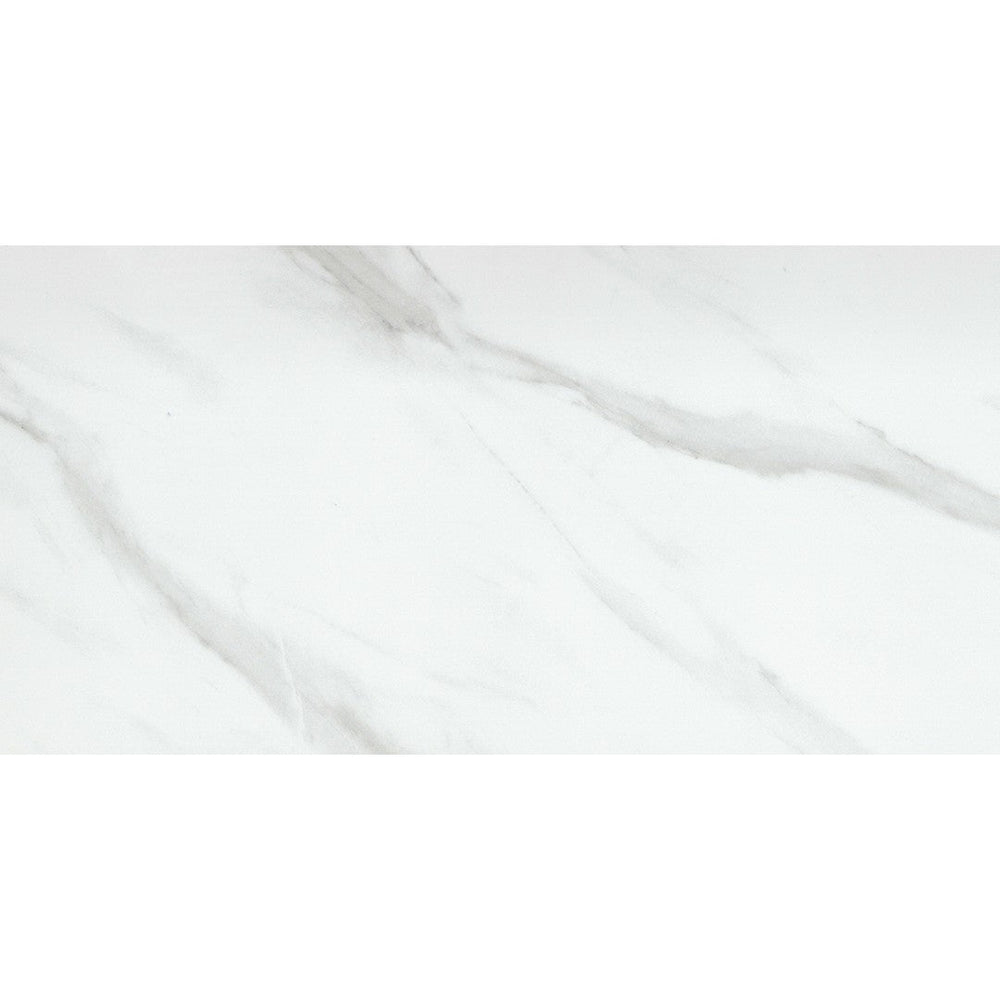 Emser 24" x 47" Nobleza Rectified Polished Porcelain Tile