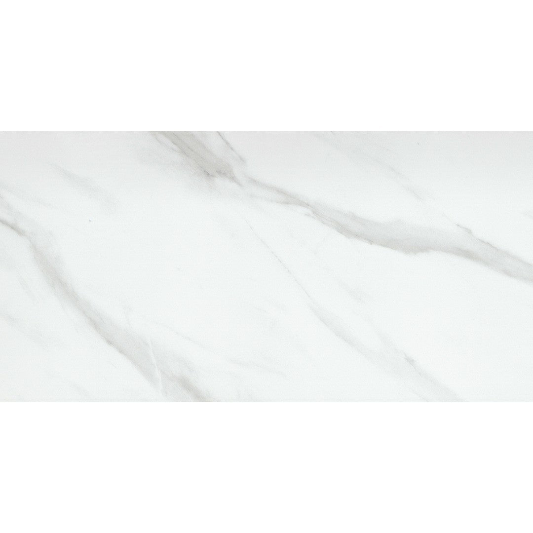 Emser 24" x 47" Nobleza Rectified Polished Porcelain Tile