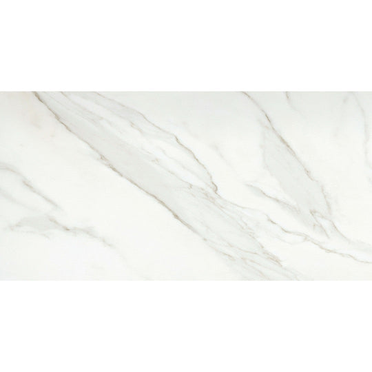 Emser 24" x 47" Nobleza Rectified Polished Porcelain Tile