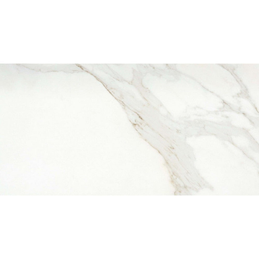 Emser 24" x 47" Nobleza Rectified Matte Porcelain Tile