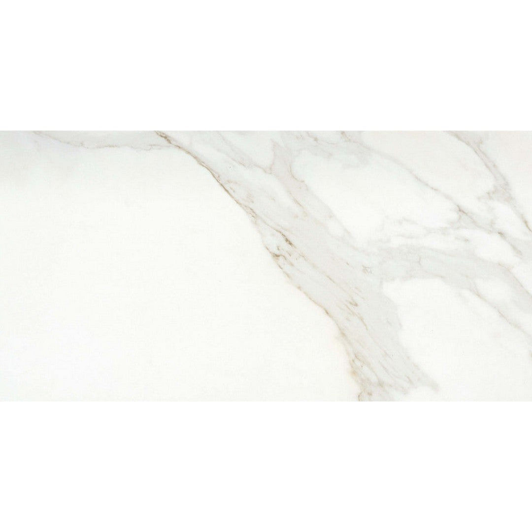 Emser 24" x 47" Nobleza Rectified Matte Porcelain Tile