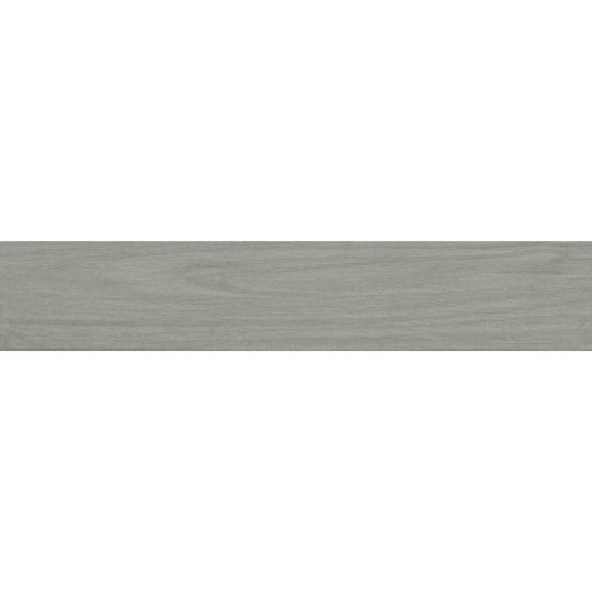 Emser Pocono 6" x 36" Matte Porcelain Tile