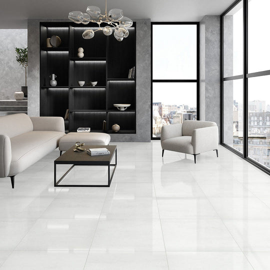 Emser-Prodigy-24-x-24-Polished-Porcelain-Tile-Agnesi