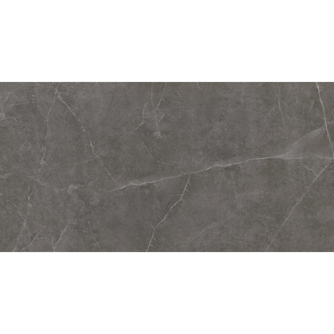 Emser Sterlina Ii 12" x 24" Matte Porcelain Tile