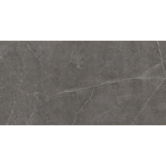 Emser Sterlina Ii 12" x 24" Matte Porcelain Tile