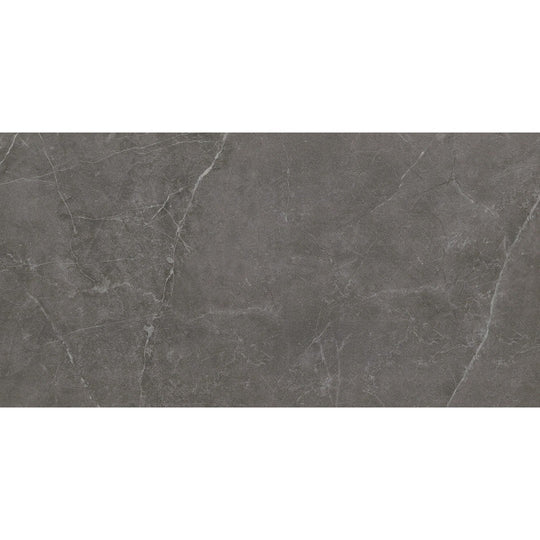 Emser Sterlina Ii 12" x 24" Polished Porcelain Tile