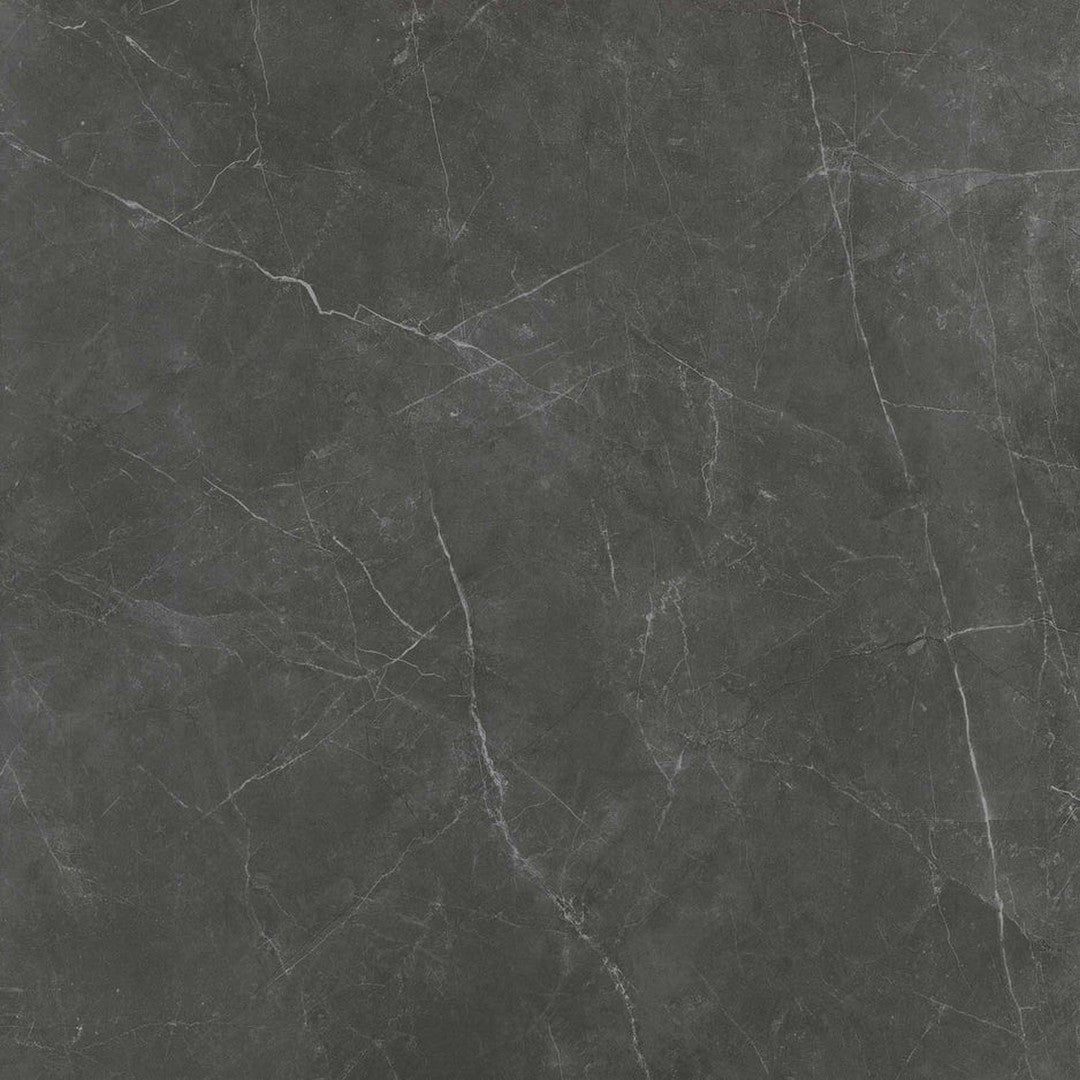 Emser Sterlina Ii 24" x 24" Polished Porcelain Tile