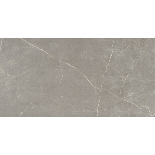 Emser Sterlina Ii 12" x 24" Matte Porcelain Tile