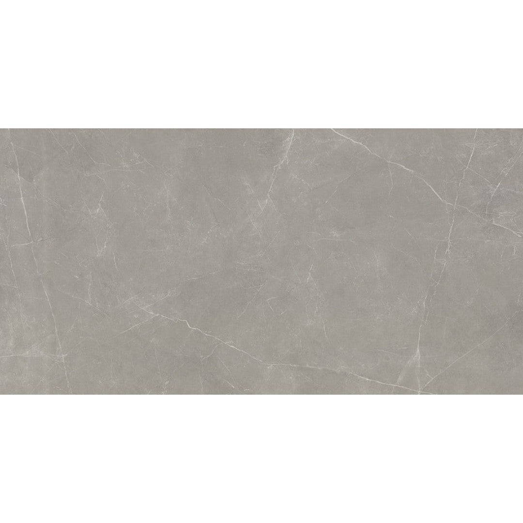 Emser Sterlina Ii 24" x 47" Polished Porcelain Tile