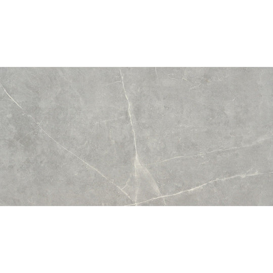 Emser Sterlina Ii 12" x 24" Polished Porcelain Tile