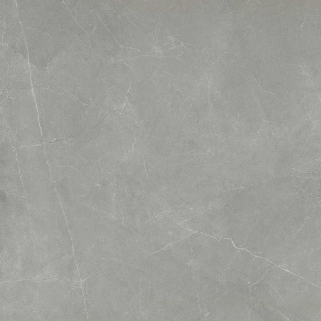 Emser Sterlina Ii 24" x 24" Polished Porcelain Tile