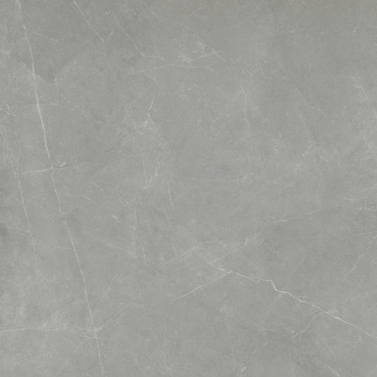 Emser Sterlina Ii 24" x 24" Polished Porcelain Tile