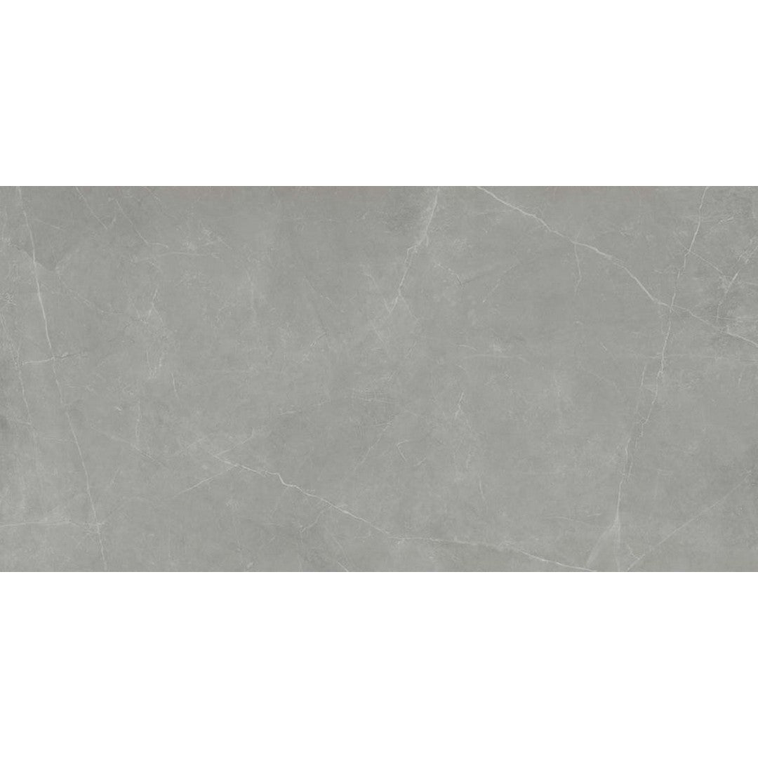 Emser Sterlina Ii 24" x 47" Polished Porcelain Tile