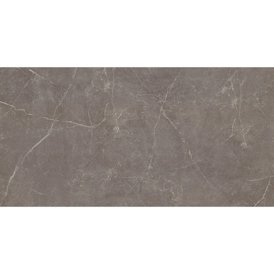 Emser Sterlina Ii 12" x 24" Matte Porcelain Tile