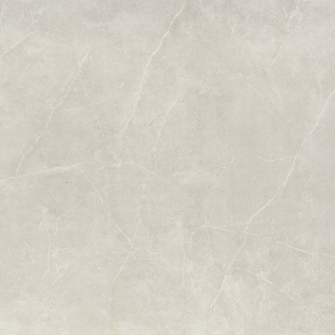 Emser Sterlina Ii 24" x 24" Polished Porcelain Tile