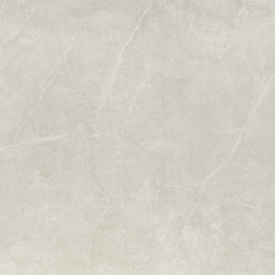 Emser Sterlina Ii 24" x 24" Polished Porcelain Tile