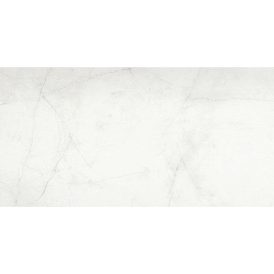 Emser Sterlina Ii 12" x 24" Matte Porcelain Tile