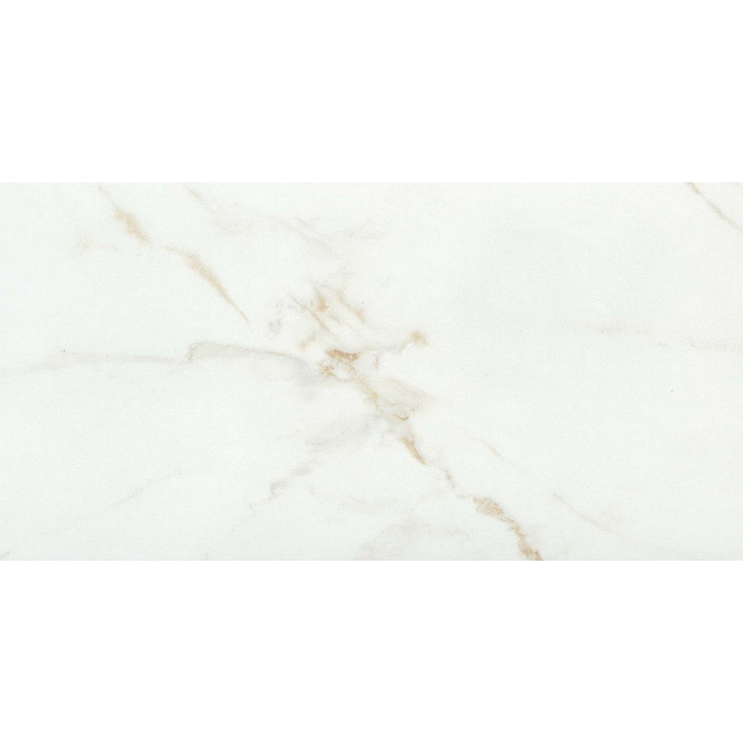 Emser Visconde 12" x 24" Polished Porcelain Tile