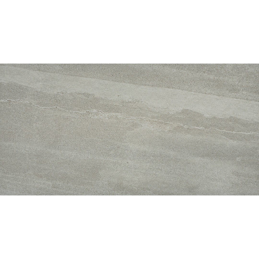 Emser Access II 12" x 24" Porcelain Matte Tile