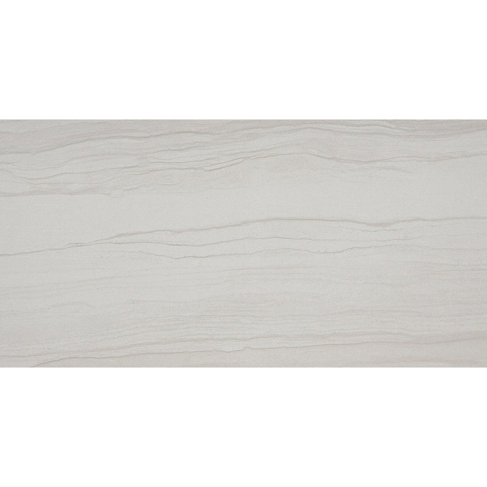 Emser Action 11" x 23" Porcelain Polished Tile