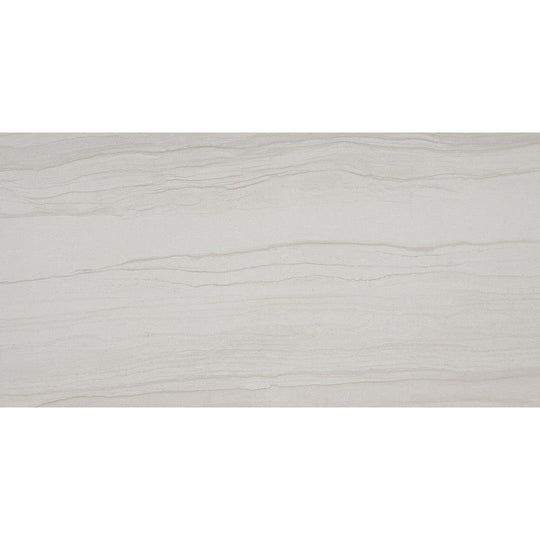 Emser Action 11" x 23" Porcelain Polished Tile