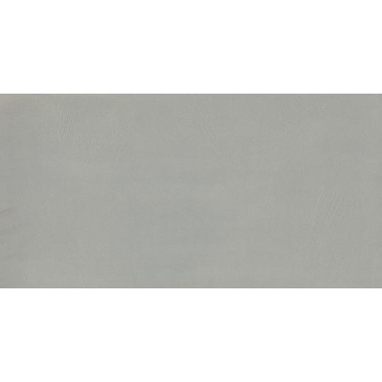 Emser Council 12" x 24" Porcelain Matte Tile