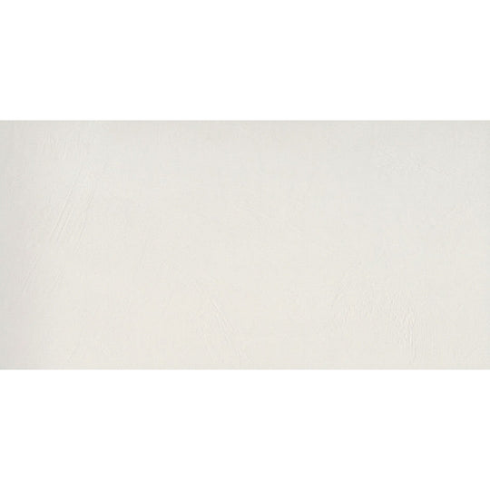 Emser Council 12" x 24" Porcelain Matte Tile