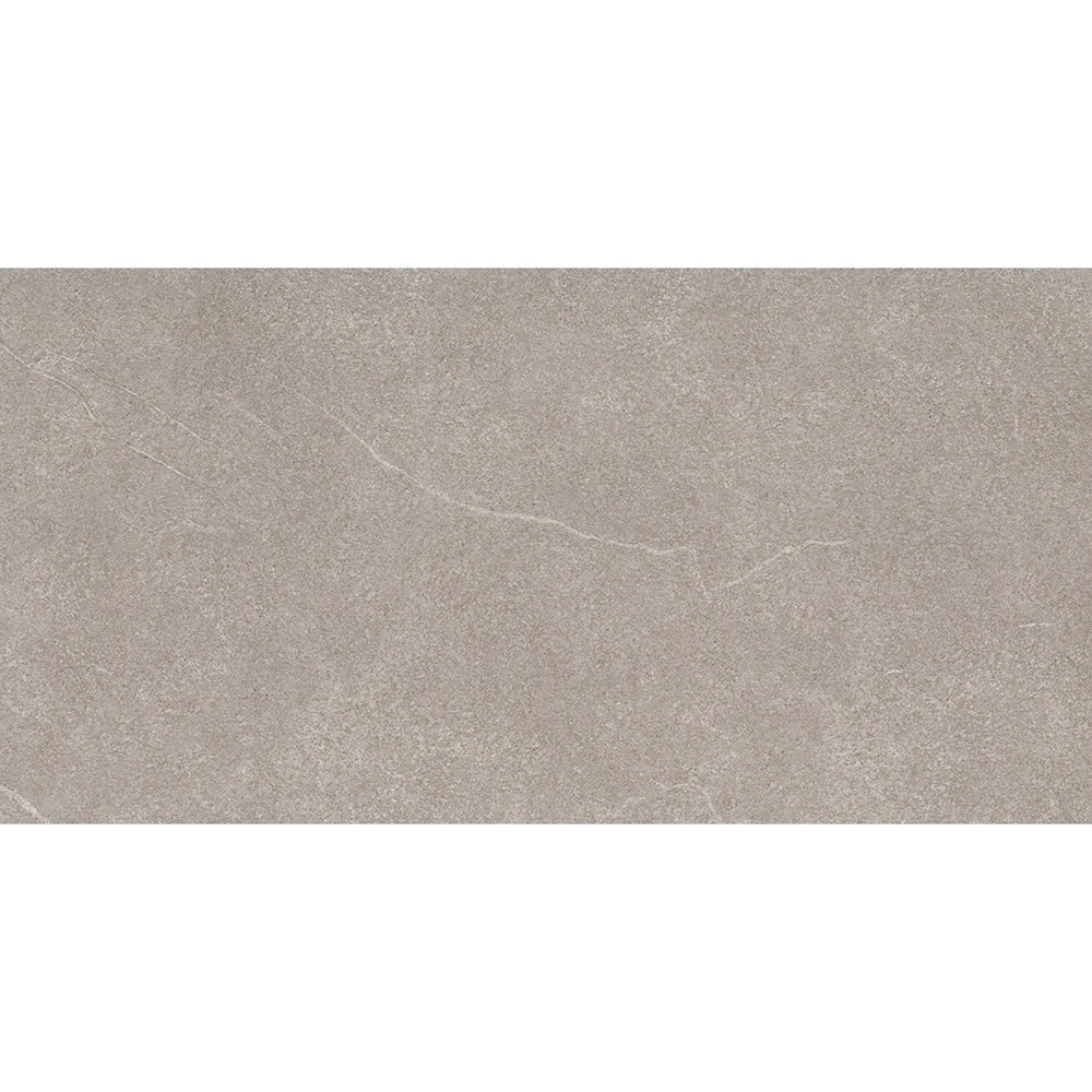 Emser Anthem 12" x 23" Matte Ceramic Tile