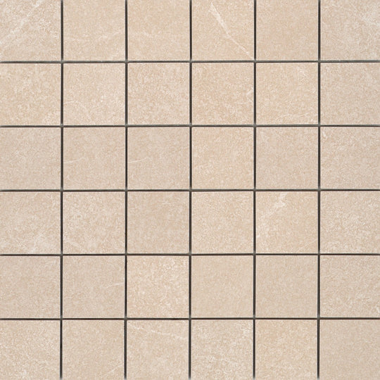 Emser Anthem 12" x 12" Matte Ceramic 2" Mosaic