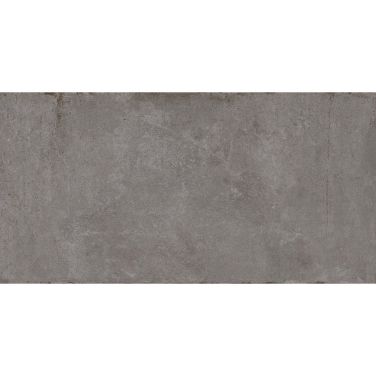 Emser Cogent 16" x 32" Porcelain Matte Tile