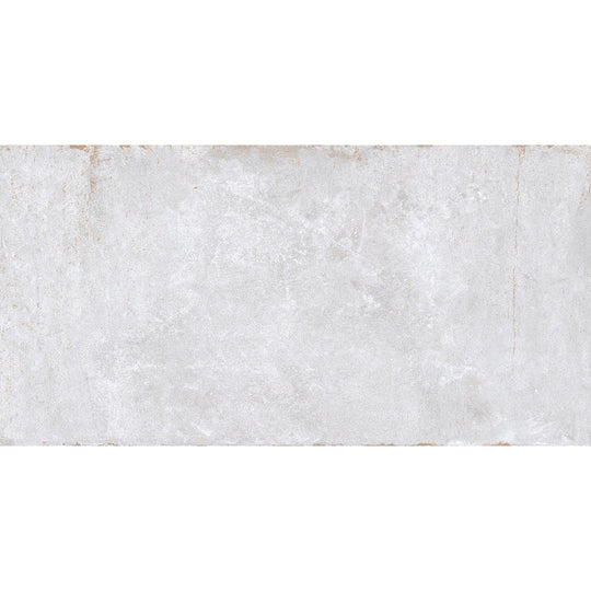 Emser Cogent 16" x 32" Porcelain Matte Tile