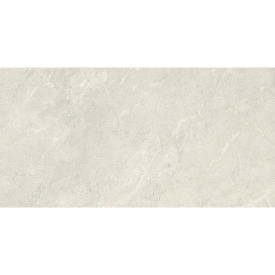 Emser Terramor 24" x 47" Matte Porcelain Tile