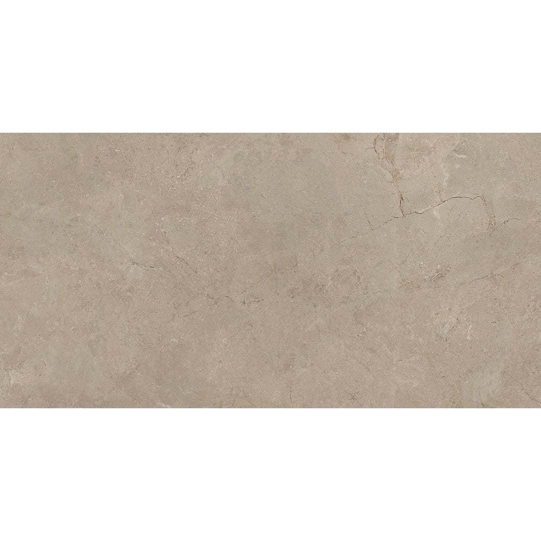 Emser Terramor 12" x 24" Matte Porcelain Tile