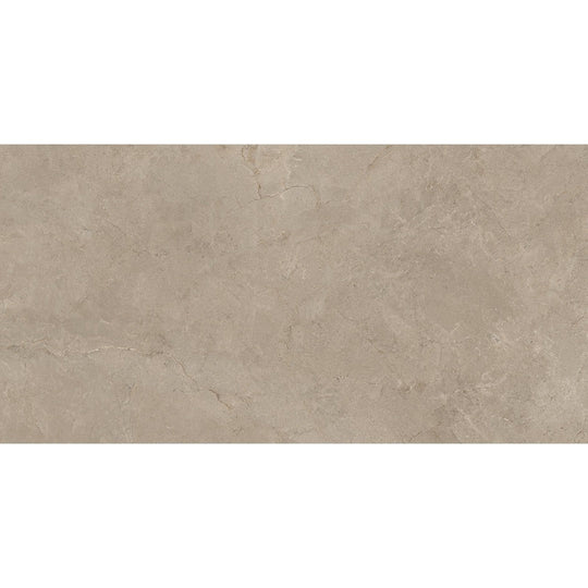 Emser Terramor 24" x 47" Matte Porcelain Tile