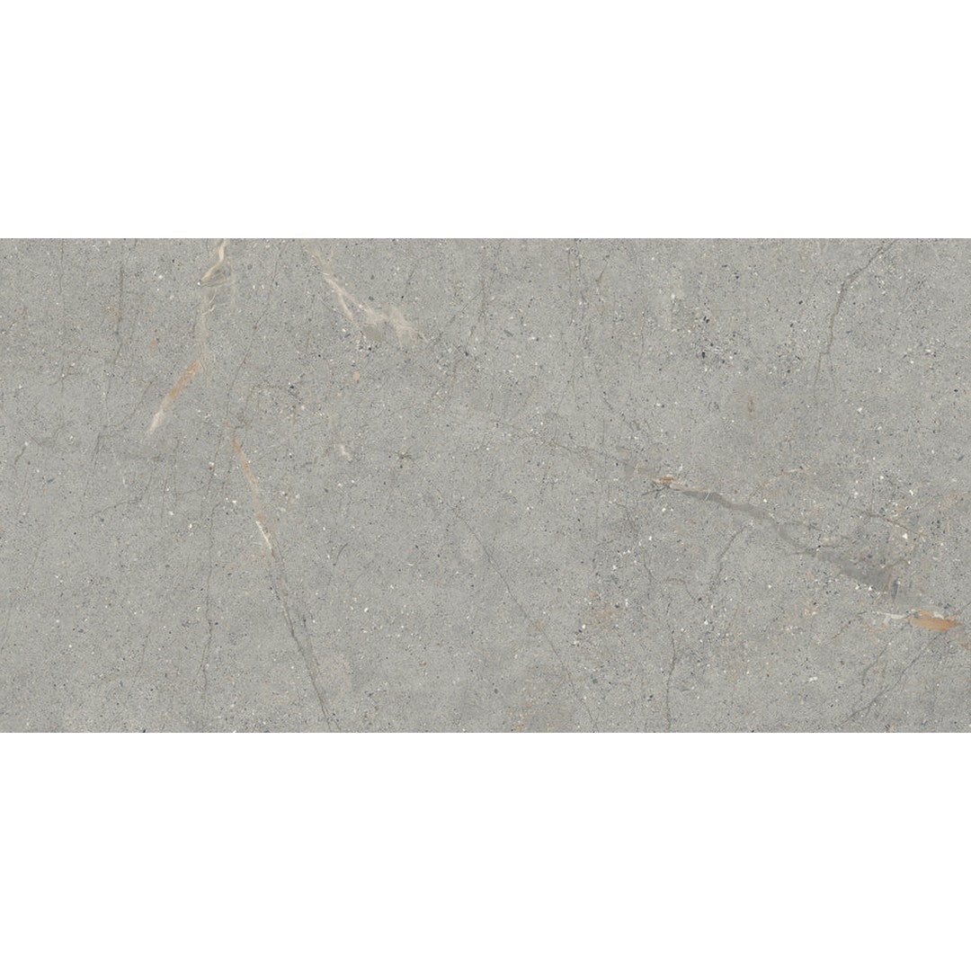 Emser Terramor 24" x 47" Matte Porcelain Tile