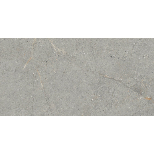 Emser Terramor 24" x 47" Matte Porcelain Tile